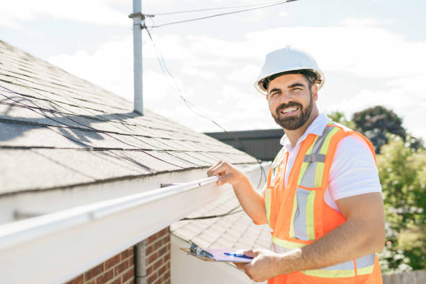 Best Roof Gutter Cleaning  in Louisvle, IL