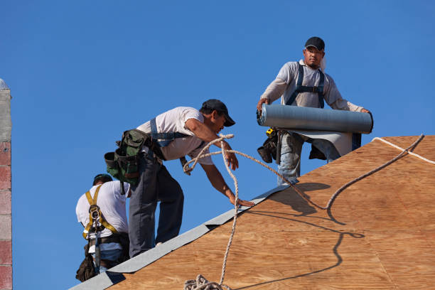 Best Roof Waterproofing Services  in Louisvle, IL