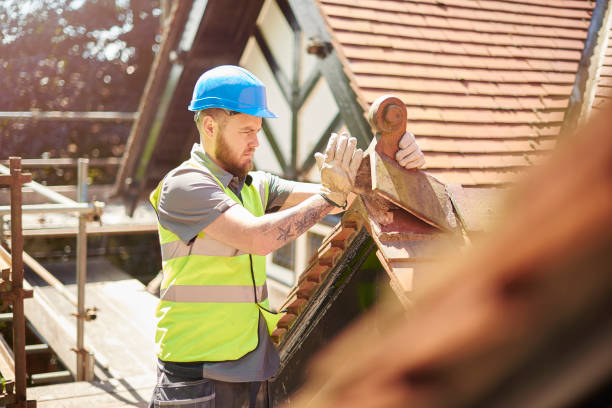 Best Metal Roofing Contractor  in Louisvle, IL